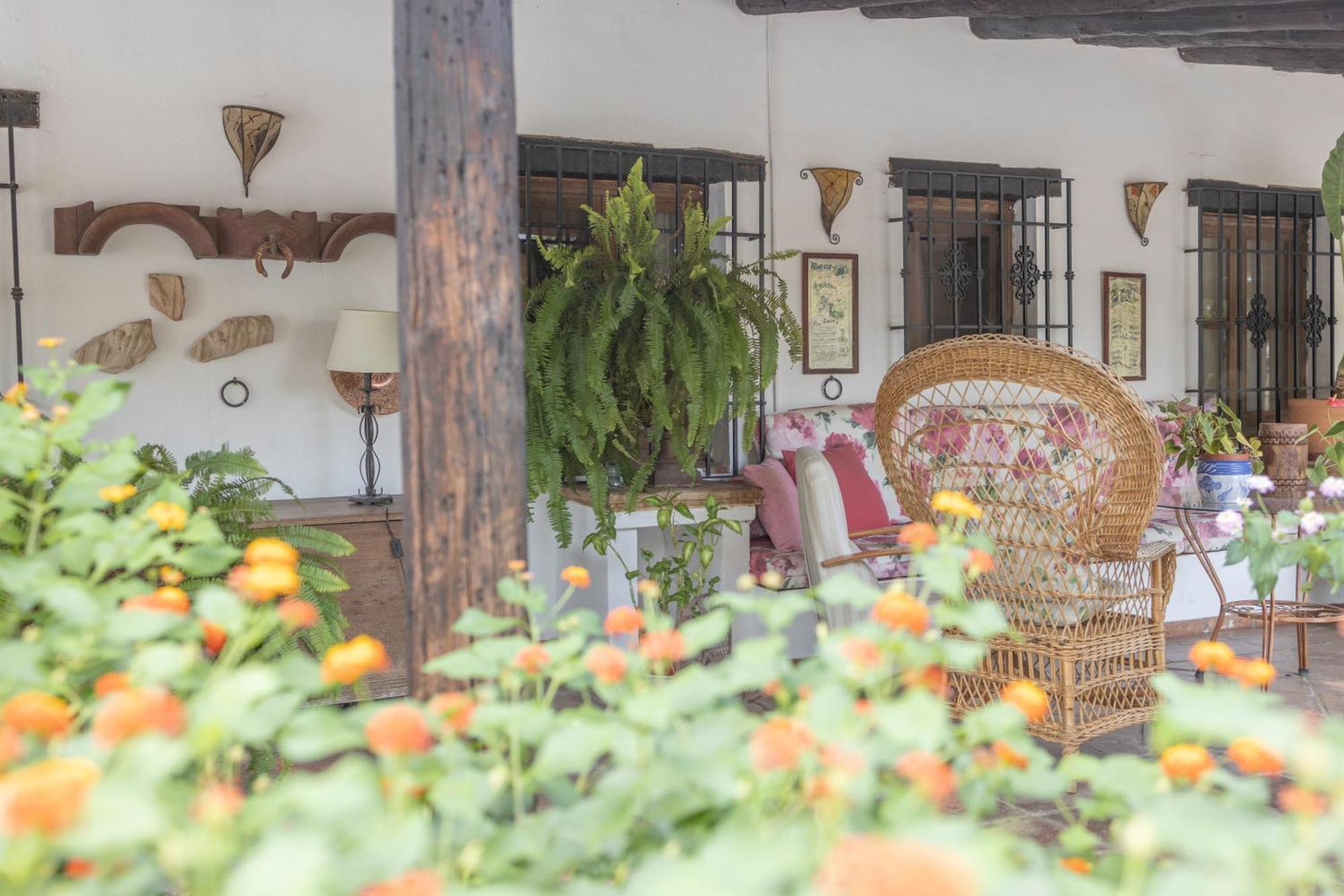 La Cuadra, Finca A Los Pies De Sierra Nevada, A 10 Minutos Del Centro, Piscina, Jardin, Barbacoa La Zubia  Exteriér fotografie