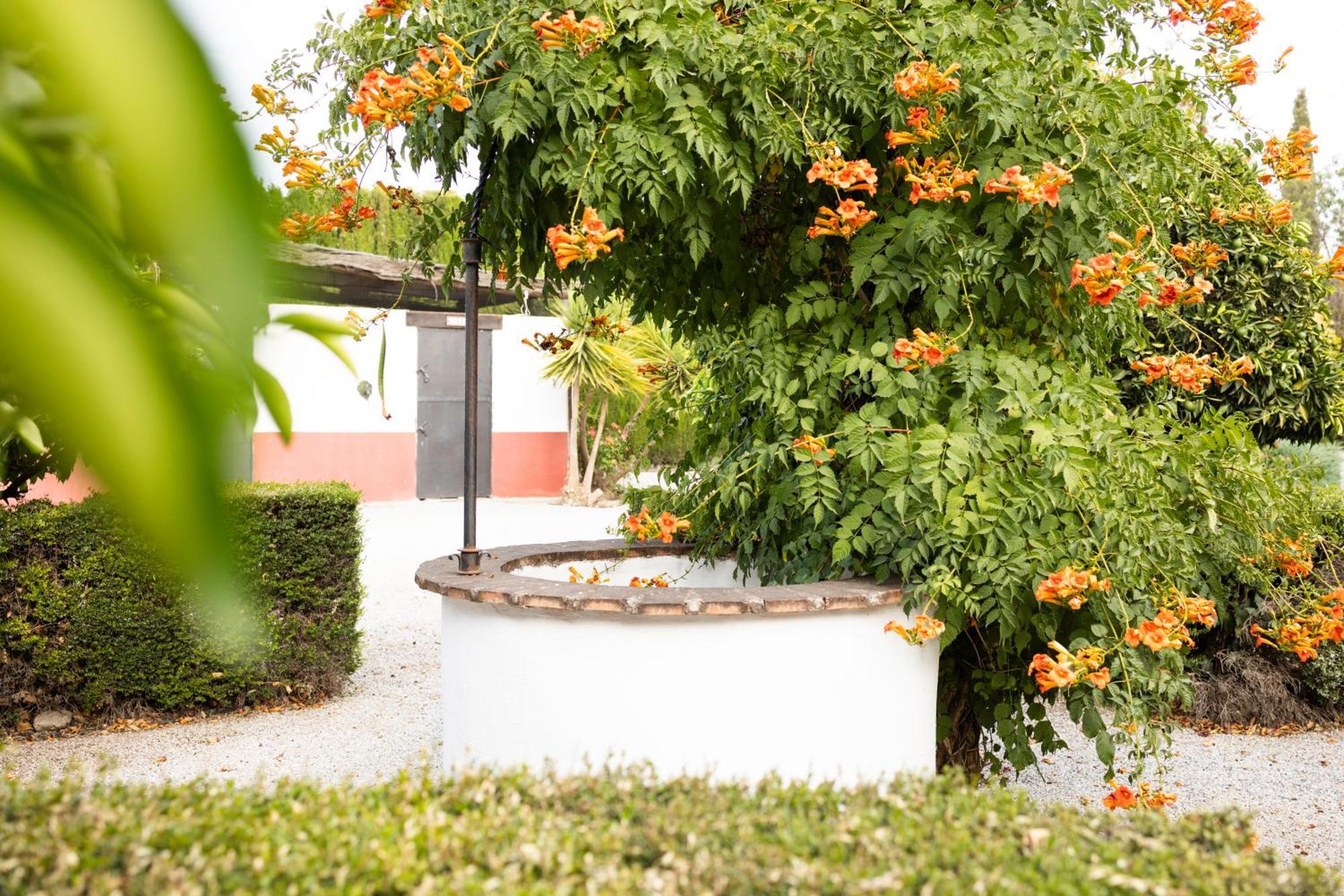 La Cuadra, Finca A Los Pies De Sierra Nevada, A 10 Minutos Del Centro, Piscina, Jardin, Barbacoa La Zubia  Exteriér fotografie