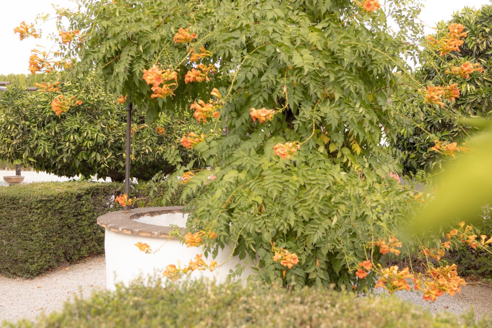 La Cuadra, Finca A Los Pies De Sierra Nevada, A 10 Minutos Del Centro, Piscina, Jardin, Barbacoa La Zubia  Exteriér fotografie