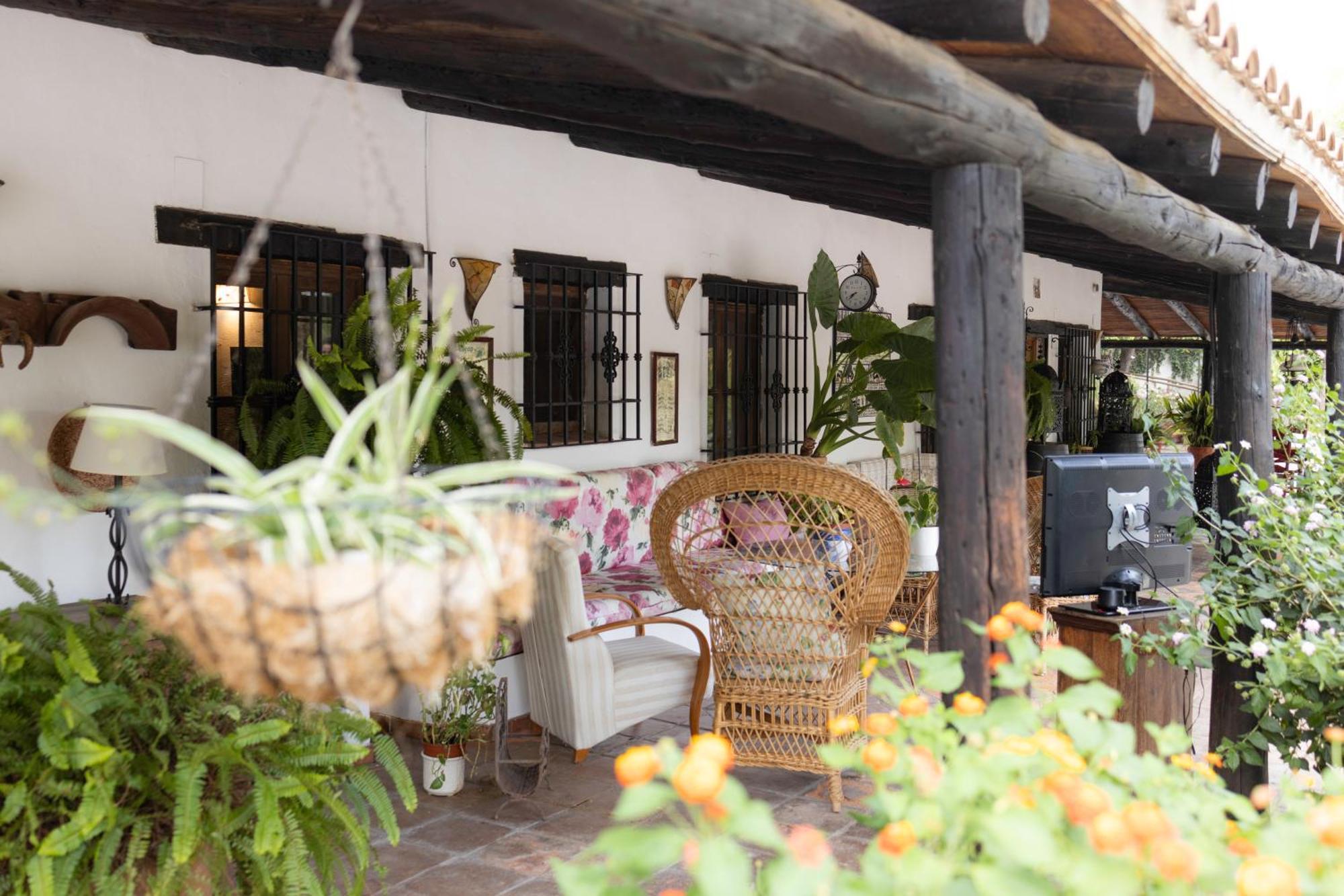 La Cuadra, Finca A Los Pies De Sierra Nevada, A 10 Minutos Del Centro, Piscina, Jardin, Barbacoa La Zubia  Exteriér fotografie
