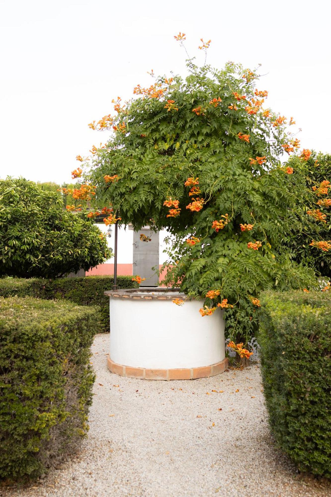 La Cuadra, Finca A Los Pies De Sierra Nevada, A 10 Minutos Del Centro, Piscina, Jardin, Barbacoa La Zubia  Exteriér fotografie